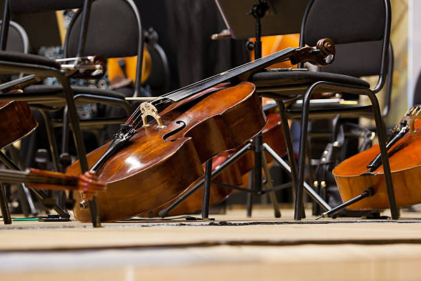 如何保養你的大提琴，這是終極指南，趕緊收藏